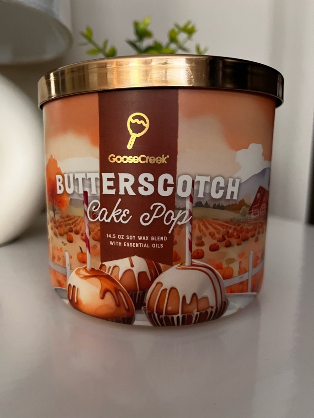 NWT Goose Creek 3 Wick Candle, Butterscotch Cake Pop Scent